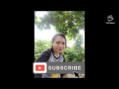 lagu ambon terbaru" CUMA DENG ALE"