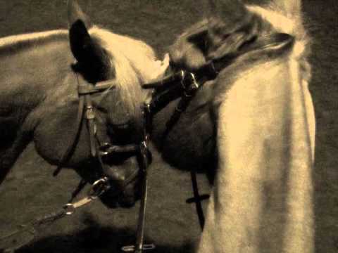 Laurie suleau & Mariine Van-wanghe,