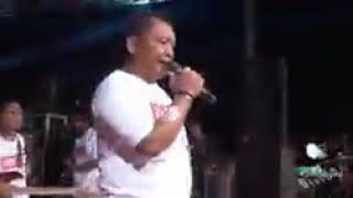 Download lagu New palapa full album_sekuntum_mawar mp3