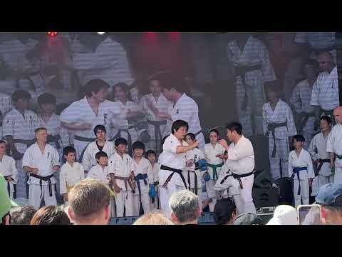 Japan Festival Amstelveen