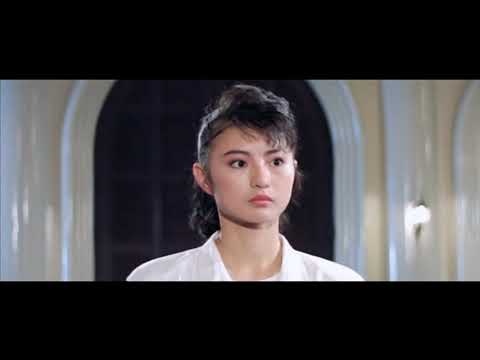 Moon Lee vs Swordsmen. Iron Angels 3.