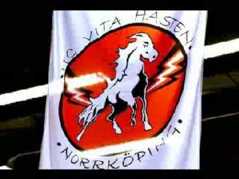 HC Vita Hästen