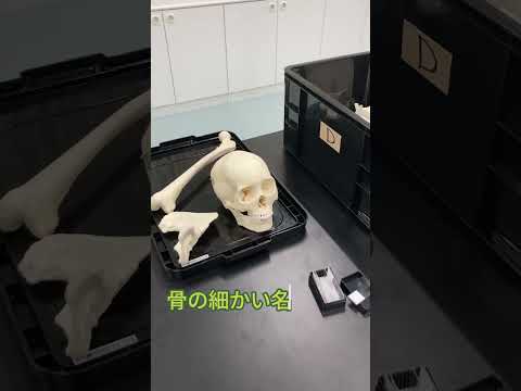 キャンパスツアー！基礎医学実習室編 #リハビリ #大学生 #作業療法士 #理学療法 #看護師#おすすめ