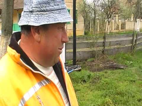 Ghita de la seceani intra in functia de Primar la Seceani