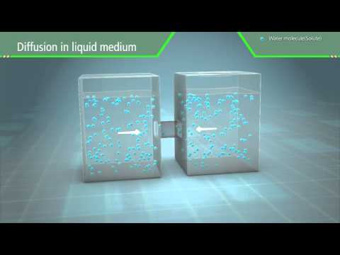 3D Scientific Animation - Diffusion and Osmosis