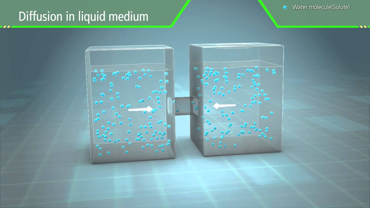 3D Scientific Animation - Diffusion and Osmosis