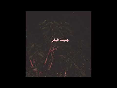 Miniatura de La Togad Eshara - لا توجد إشارة