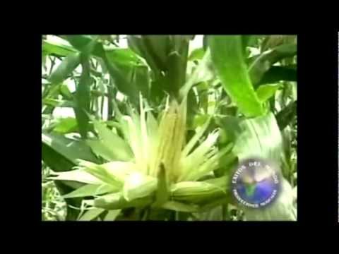 SUPER MIX TRIBAL ECUATORIANO 2012-2013dj javier(Margarita lugue-Emilio Aymara-Veronica Bolaños)