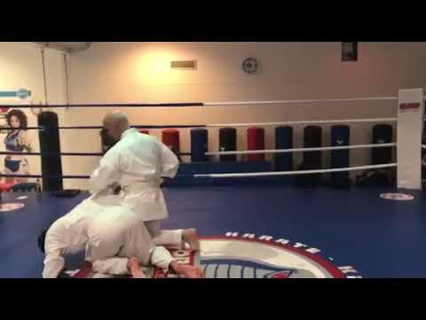 Daito Ryu Aikijujutsu