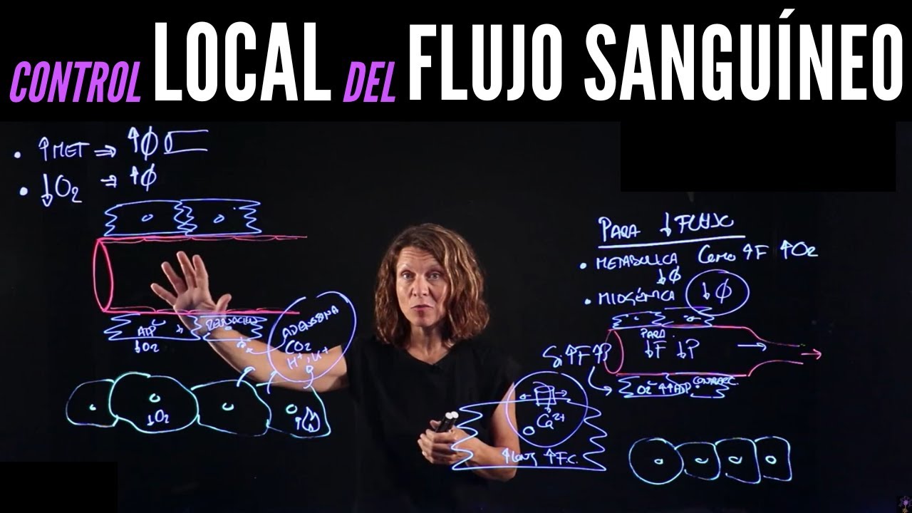 Hemodinámica I: Control local del flujo sanguíneo