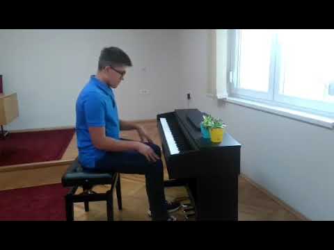 N.Rimsky-Korsakov-Flight of a bumblebee- Mihael Timotej Pastonjicki