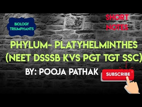 platyhelminthes típusú coelom a legjobb gyógyszer az enteróbiák ellen