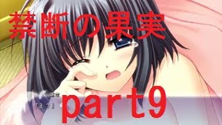 俺たちに翼はない実況プレイpart９
