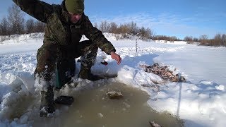Рыбалка в коми зимой на окуня
