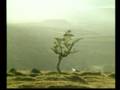 Dartmoor The Threatened Wilderness