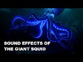 Finding Dory The Giant Squid Sound Effects