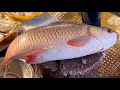 Amazing Cutting Skills | Big Rohu Fish Cutting & Chopping By Expert Fish Cutter