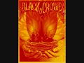 Peace Anyway - The Black Crowes