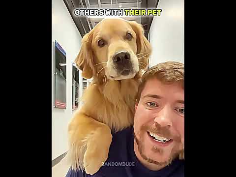 Normal pet VS King of pets