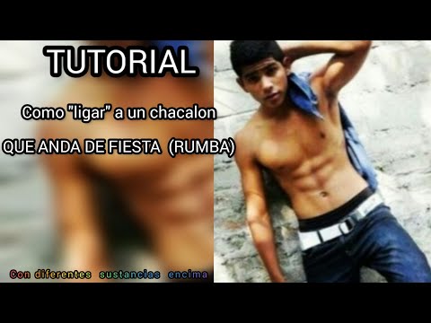 HOW TO HIT A JACKAL WHO'S PARTYING (DIFFICULTY LEVEL 2)