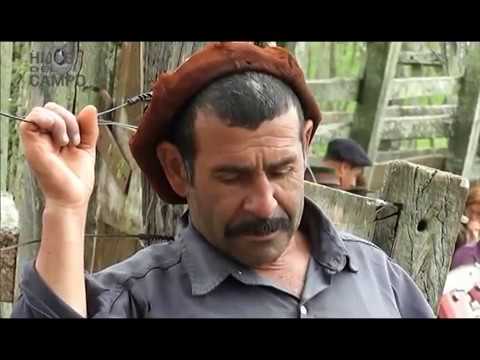 "Hijos del Campo"- yerra en Piedras Blancas -Rivera-parte 4-