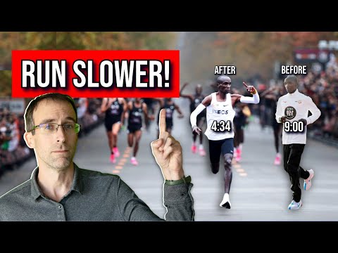 You Need to Run SLOWER  | Your Comprehensive Guide to Easy Runs