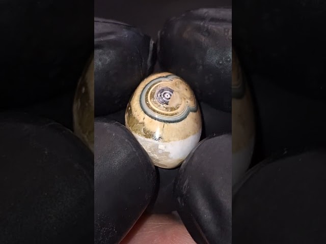 حجر عقيق داؤدي اليمن بتداخل الالوان جميل طبيعي حجم صغير