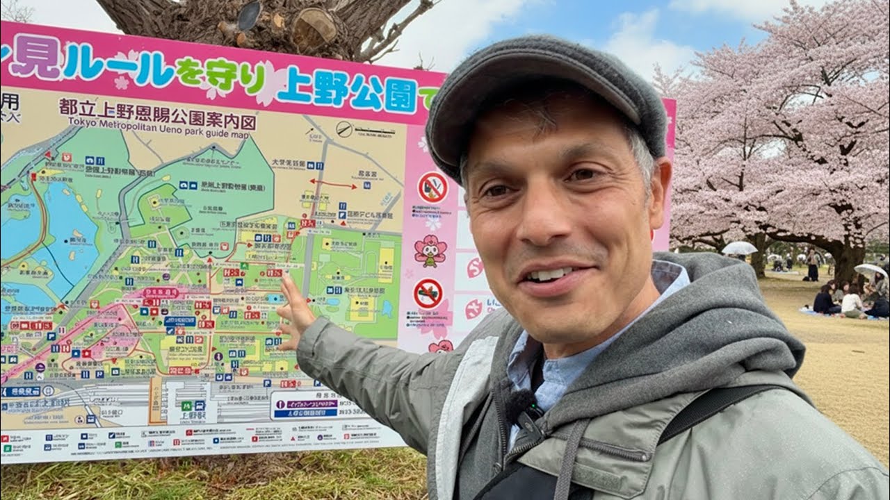 Tokyo’s Ueno Park — Peak Cherry Blossom 4K View in the Rain