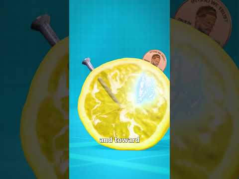 How A Lemon Battery Works 🤔