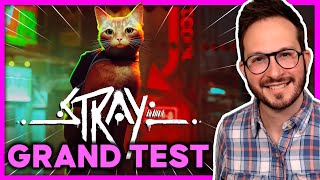 Vidéo de Stray