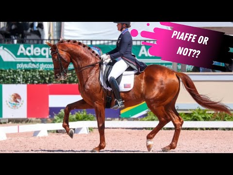 Sleeping Her Way To The Top: Sarah Lockman Unlocks Her Way To 70% At The Desert Dressage CDI-W