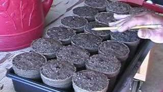 How to Start your vegetable seeds indoors Part 1 of 2