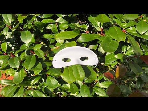 Stop | Stop, Breathe. Listen. See - Value | It Gets Lighter From Here