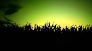 Drowning with Our Anchors - Crushed &amp; Empty