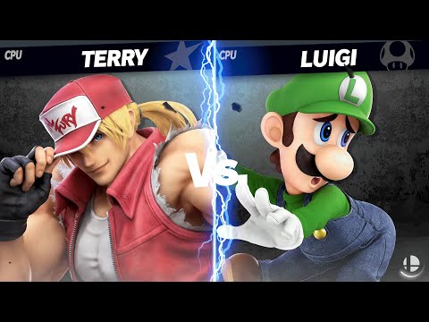 Terry VS Luigi