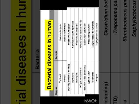 Bacterial diseases in human | class 11th biology | neet biology | @inditeaching 