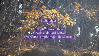 Download lagu Boléro,Joseph Maurice Ravel,Charles Édouard Dutoit,Orchestre symphonique de Montréal mp3 Download lagu Boléro,Joseph Maurice Ravel,Charles Édouard Dutoit,Orchestre symphonique de Montréal mp3