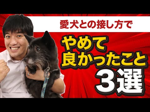 犬の考え方