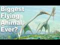 What Was The Biggest Flying Animal Ever? DEFAULT Thumbnail