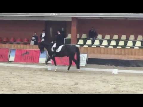 Анна Дяченко и San Amore!!!