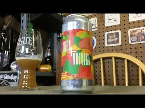 Other Half Citra+Motueka DIPA Review - Ep. #1162
