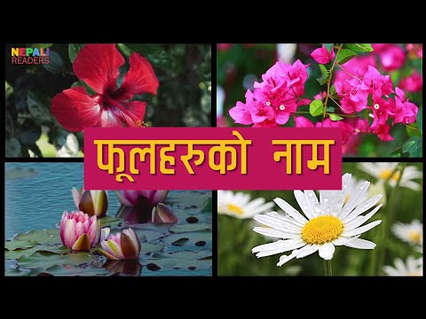 नेपालीमा फूलहरुको नाम | Flowers Name In Nepali