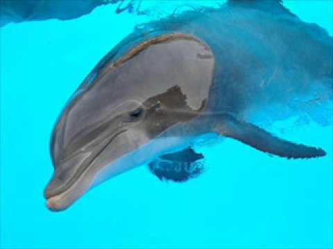 Trance Arts Feat Claire Willis - Time (Estigma Remix)