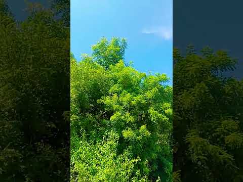 View of Sorava malai Salem....🏞️🏞️.