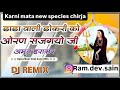 म्हारी डाडा वाली डोकरी को ओरण सजगयो जी