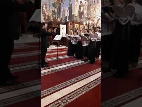 Corala Dominus - Cu trupul adormind... - N.Lungu