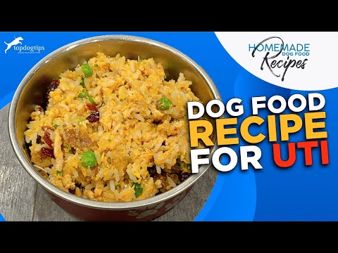 Dog Food Recipe for  UTI