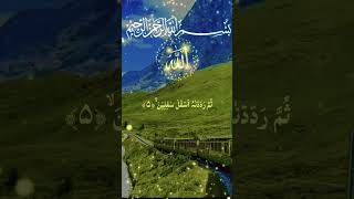 Download lagu Surah At-Tin | Heart Touching Quran Recitation | Relaxing Quran Status ✨@Islamicalquran888 # mp3
