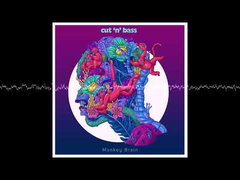Cut n Bass - The Visionary