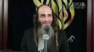 הרב מאור קריו   מוצא אותך (הרב מאור קריו) - התמונה מוצגת ישירות מתוך אתר האינטרנט יוטיוב. זכויות היוצרים בתמונה שייכות ליוצרה. קישור קרדיט למקור התוכן נמצא בתוך דף הסרטון